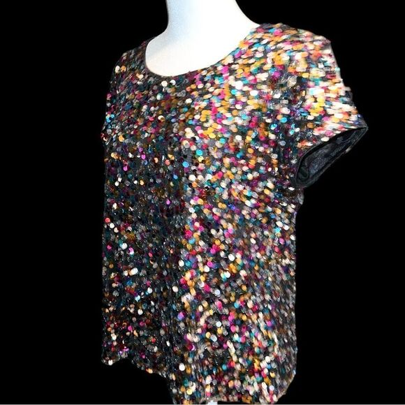 Beautiful vintage multi colored sequined top. Lots of possibilities in this one - Picture 4 of 9